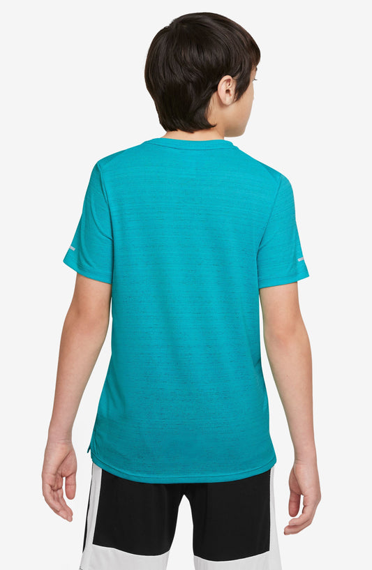 345 DUSTY CACTUS