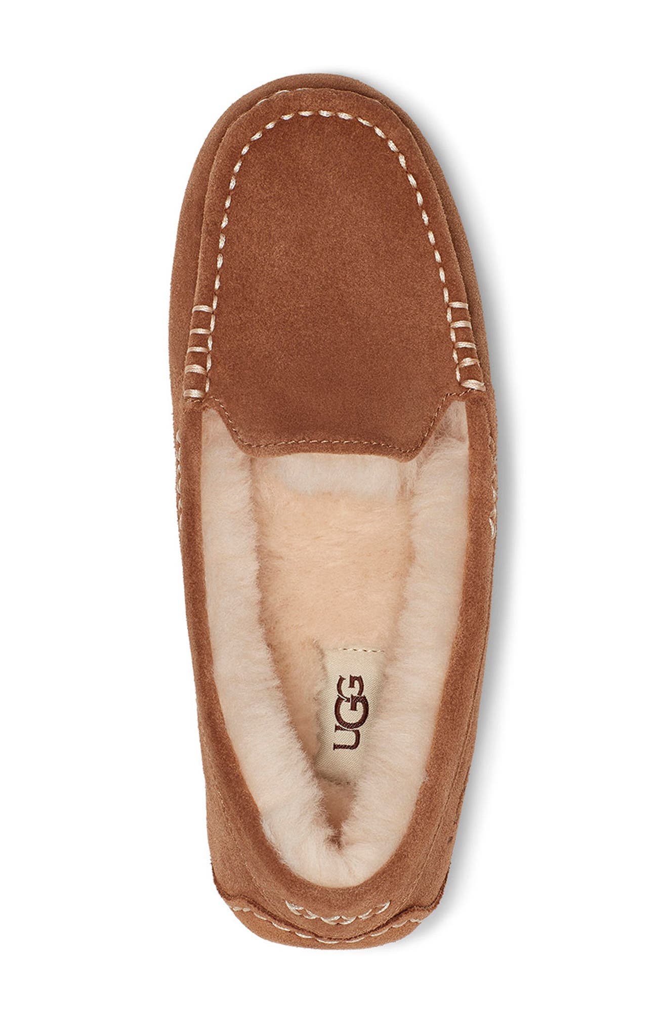 CHESTNUT SUEDE