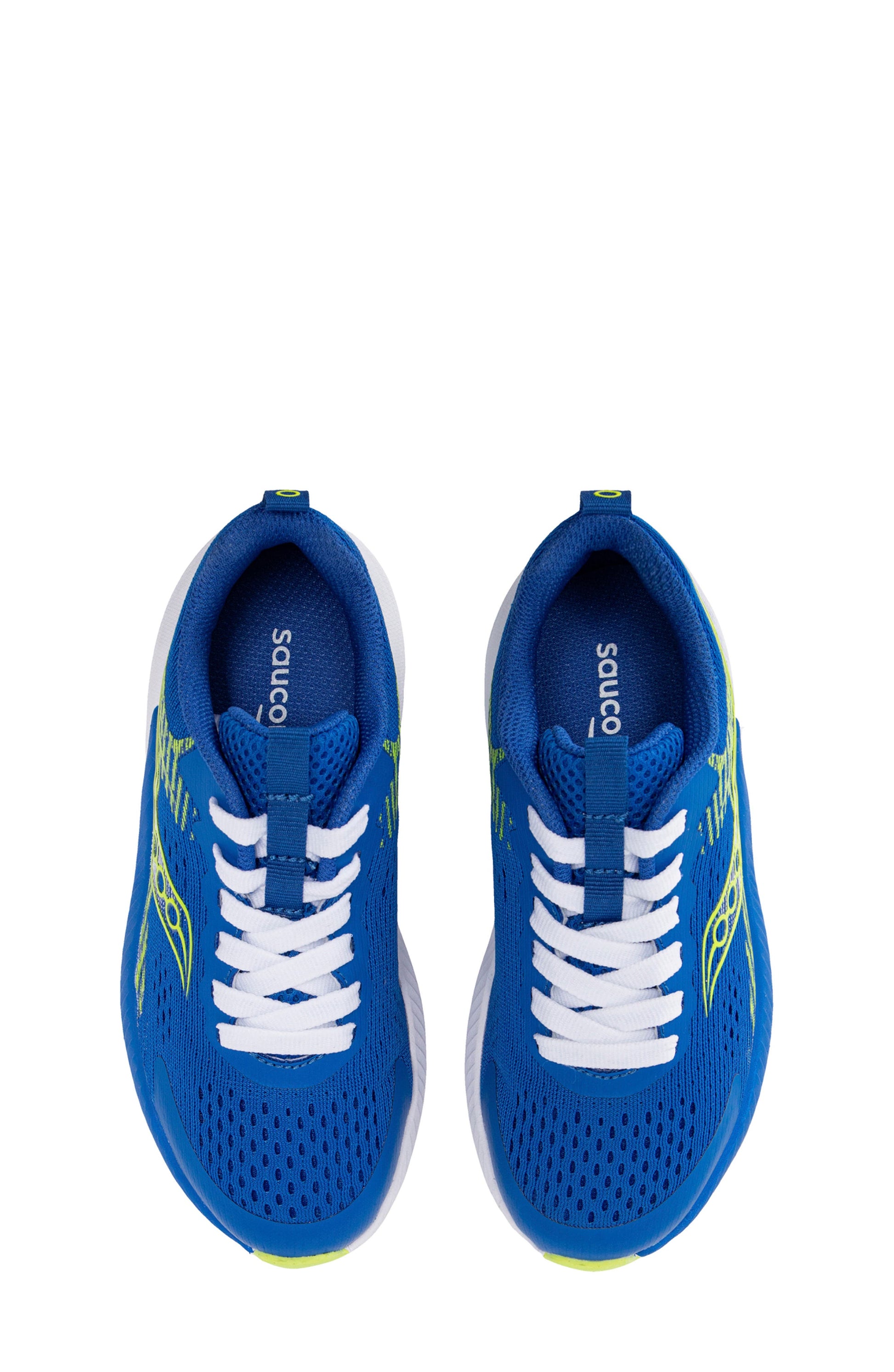 BLUE/ LIME