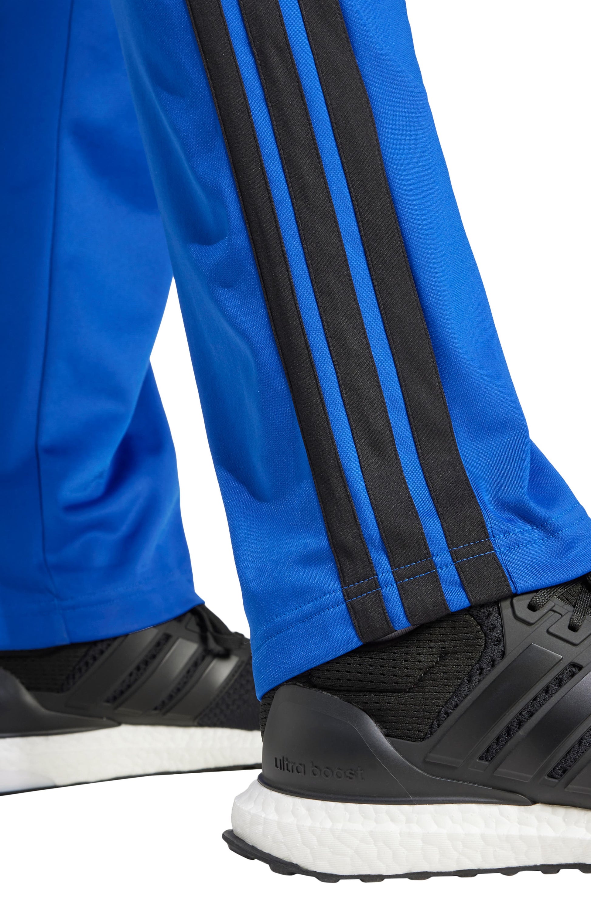 TEAM ROYAL BLUE/ /