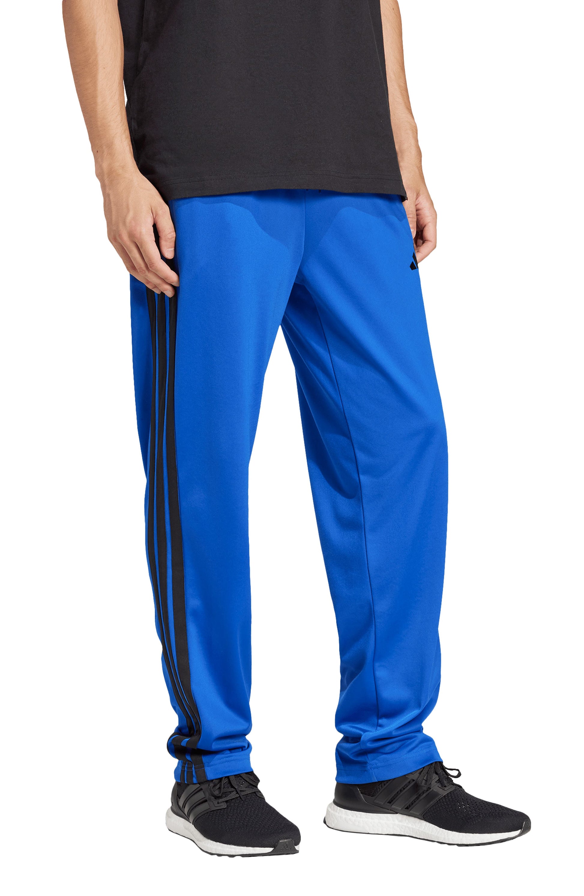 TEAM ROYAL BLUE/ /