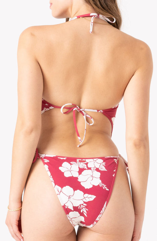 HIBISCUS