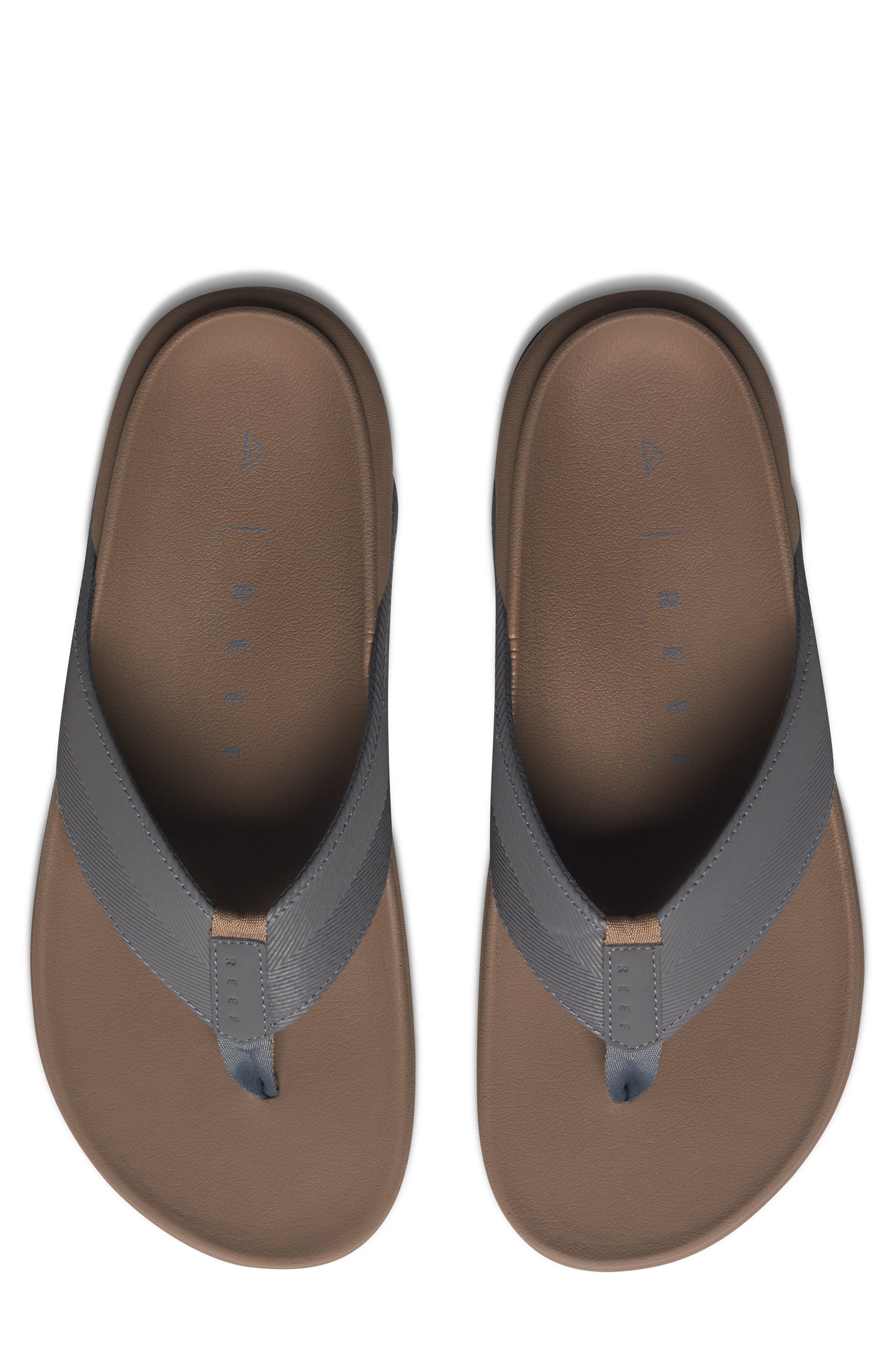 FOSSIL/GREY