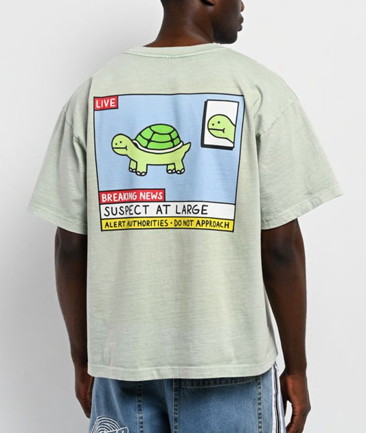 Light Pastel Green