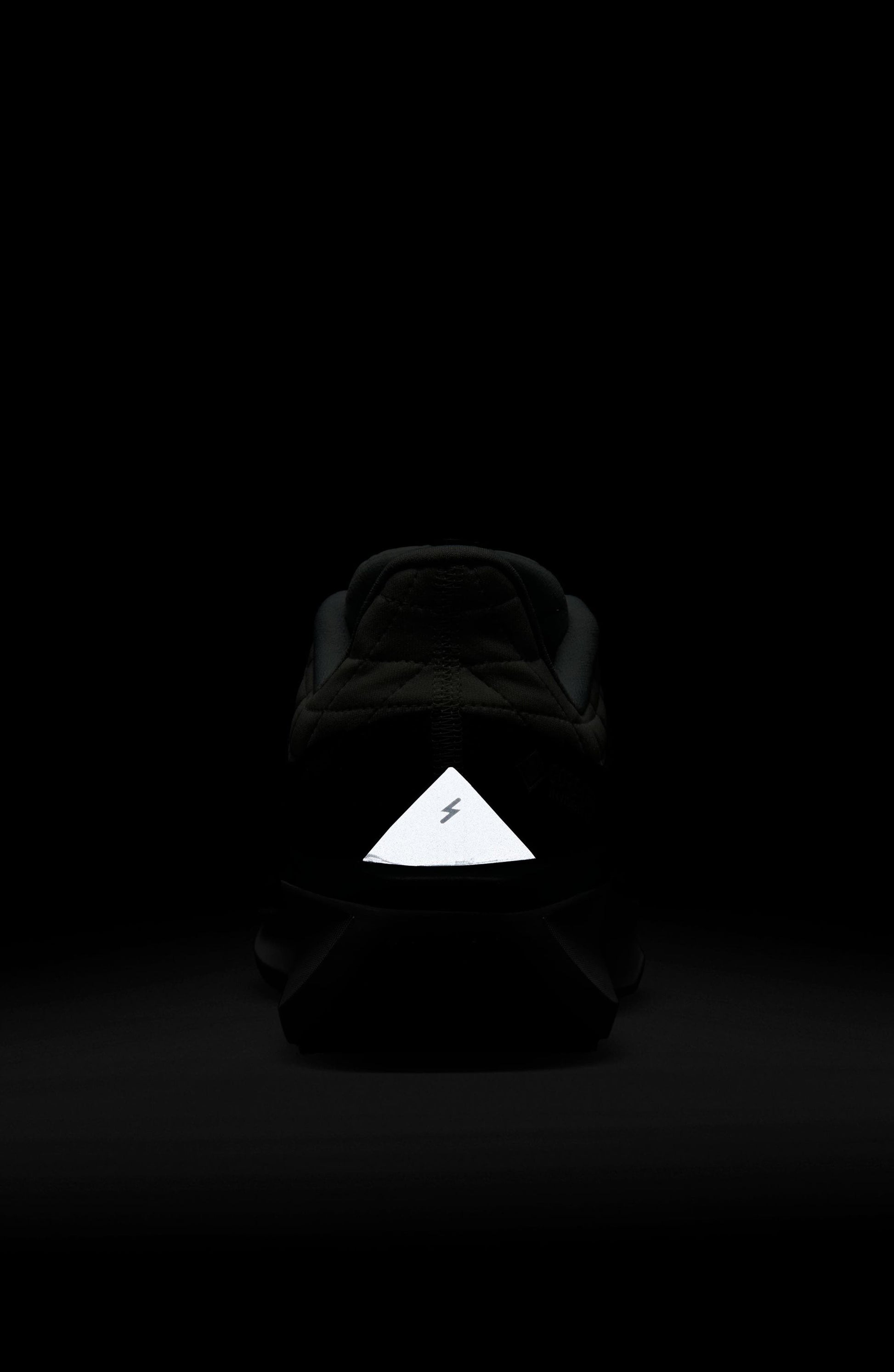 004 ANTHRA/M SILV