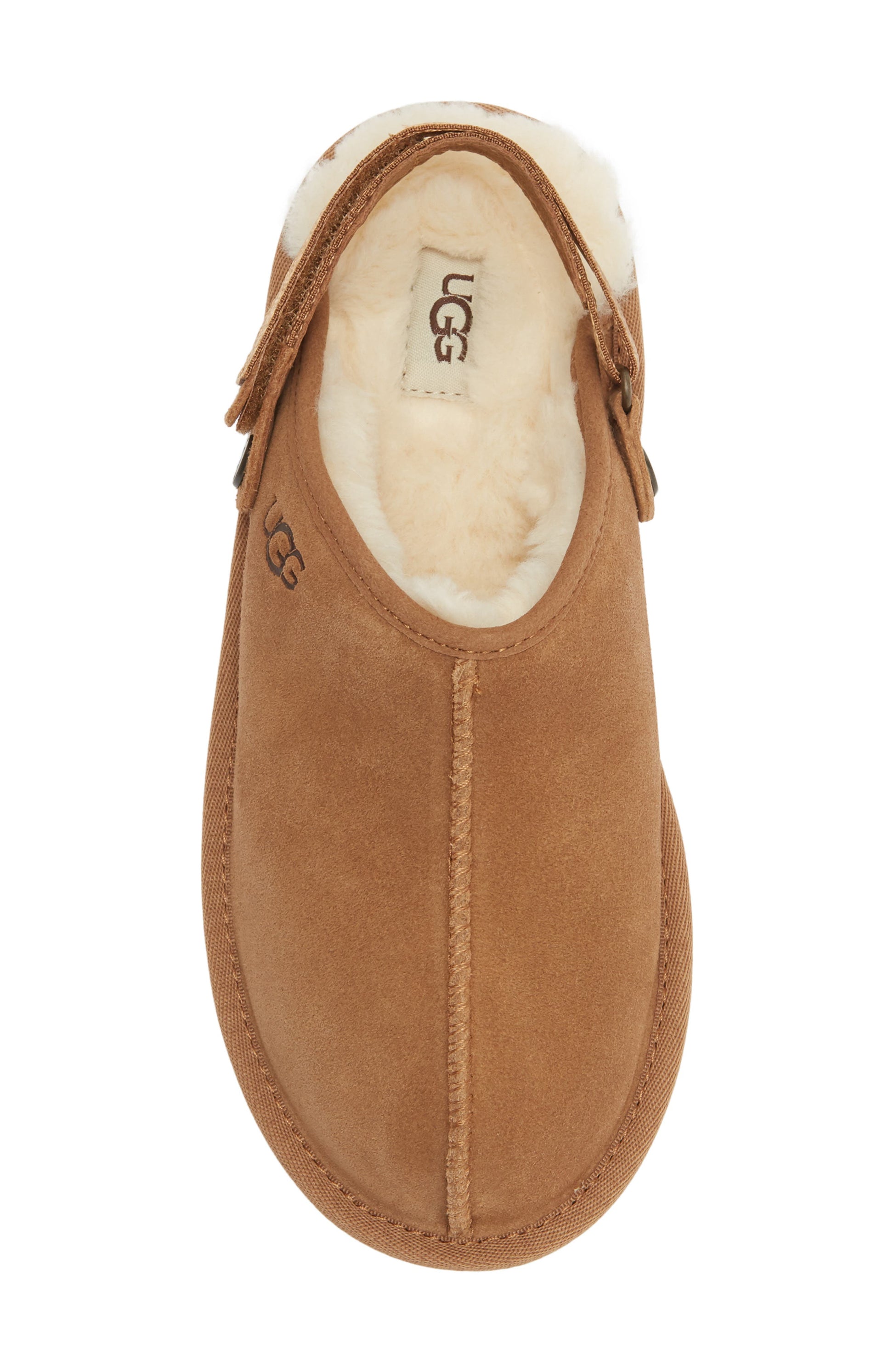 CHESTNUT